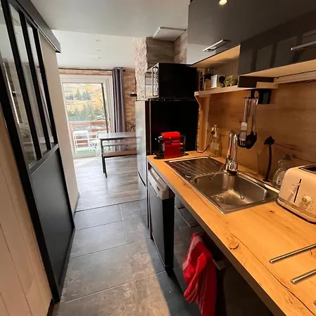 Apartment Au Coeur Des 2 Alpes *
